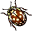 113.gif