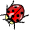69.gif