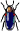 79.gif