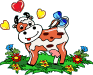 12.gif